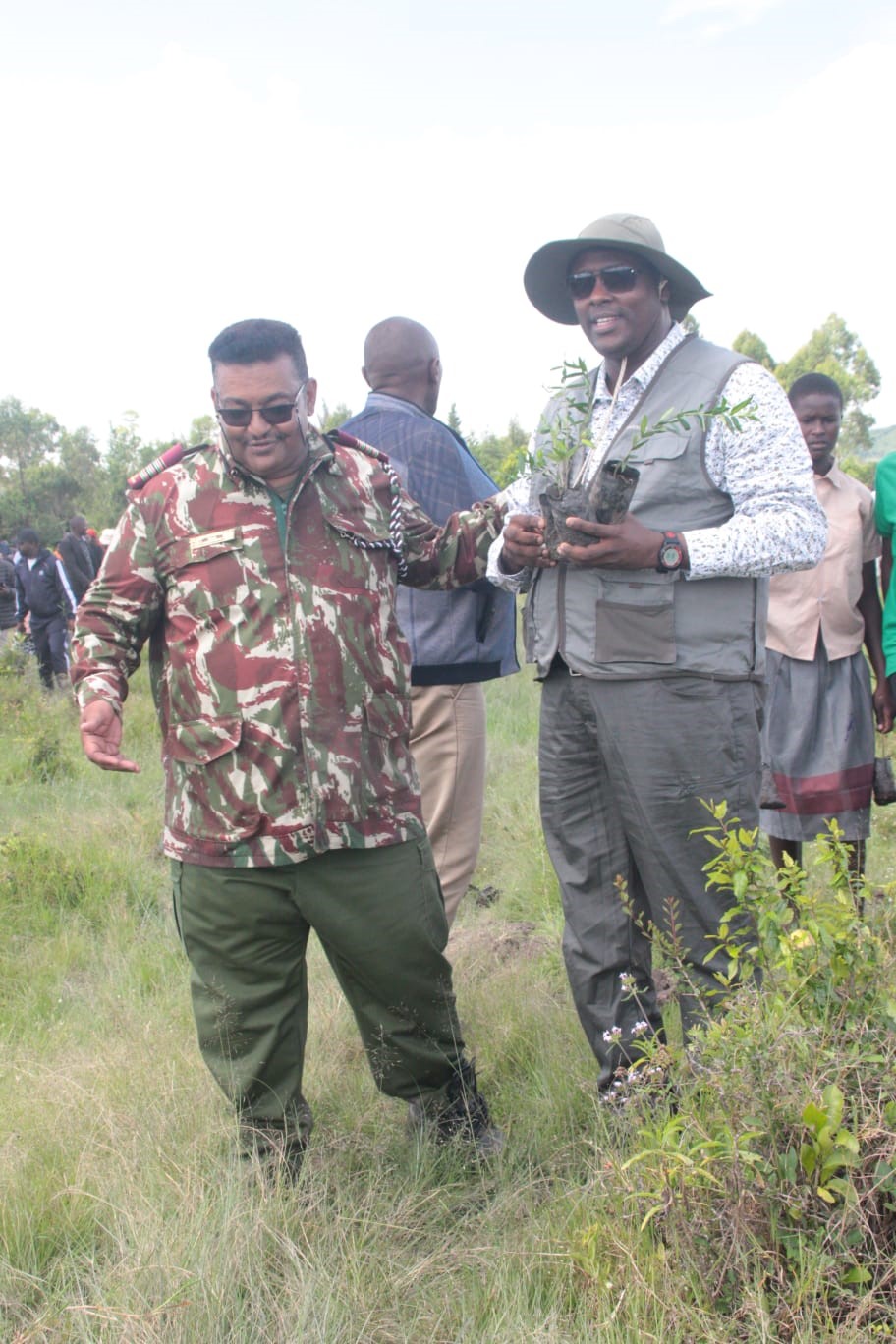 Bomet County Commissioner Dr. Ahmed Omar leads Principal Secreatry Dr. Idris Dokota to a tree planting site within Kimaya block, Siogiroi in Cheplaungu forest  to plant tree seedlings to boost the forest cover in the contry. 