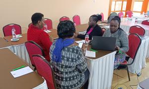 Risk Registers Preparation workshop