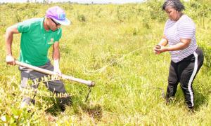 Tree Planting in Chepalungu Forest